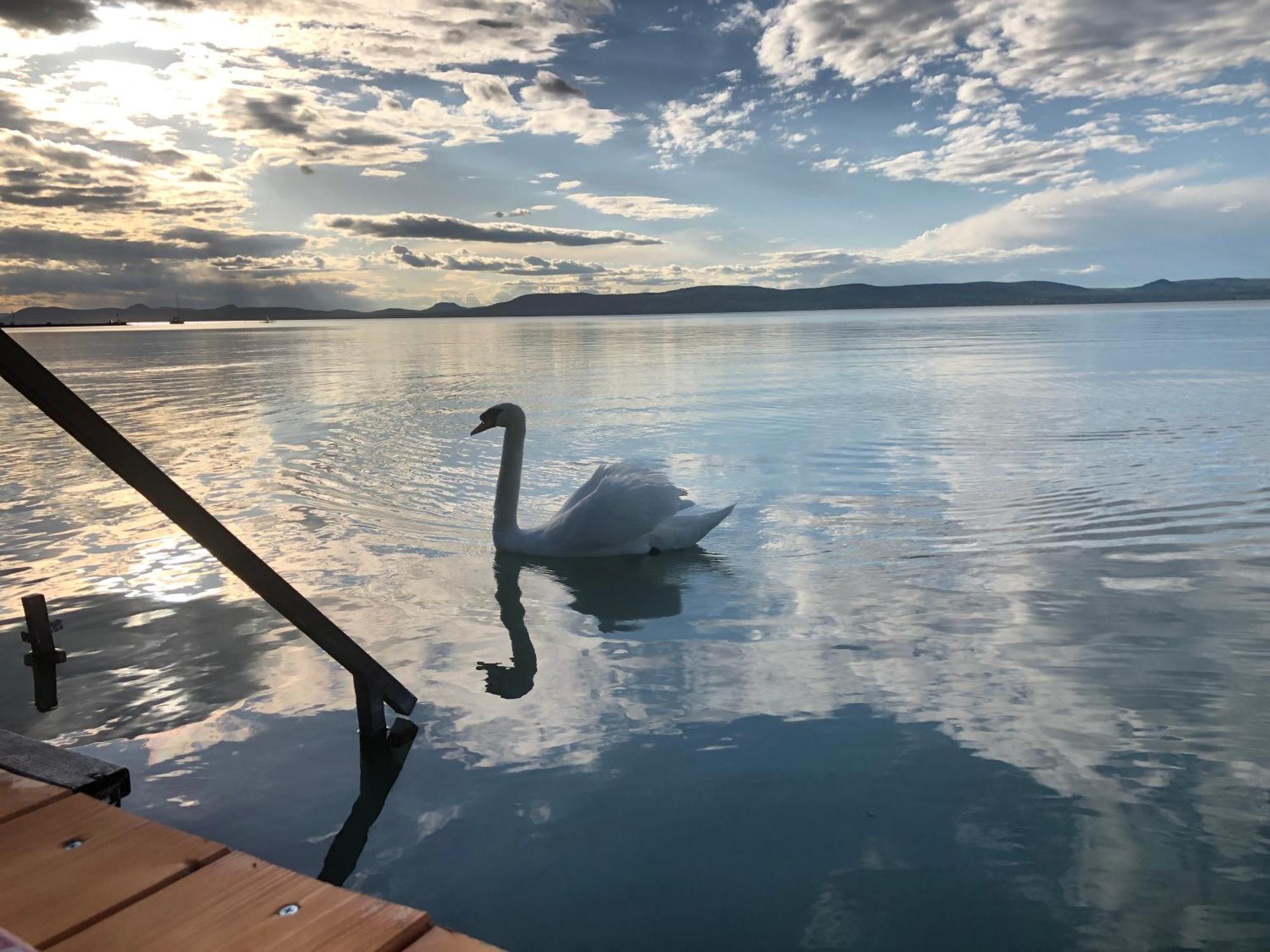 Sunny Private Beach Balatonlelle Dış mekan fotoğraf
